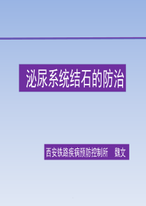 泌尿系统结石的防治PPT课件