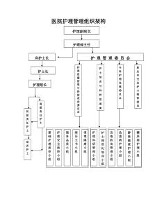 医院护理管理组织架构