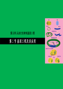 基因工程及其应用(公开课)