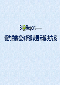 BIReport产品简介