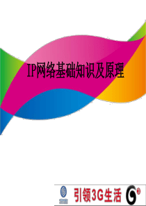 IP网络基础知识及原理