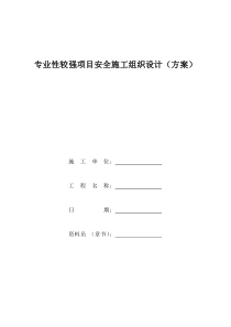 专业性较强项目安全施工组织设计