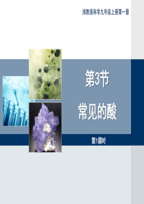 最新浙教版九年级上册科学1.3《常见的酸》第一课时优秀课件