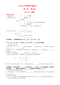 2016年中考数学专题复习