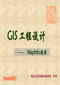 GIS工程设计MI