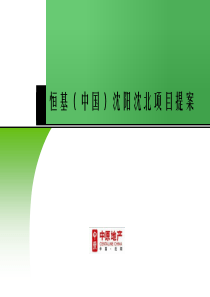 中原-恒基中国沈阳沈北项目营销策划提案