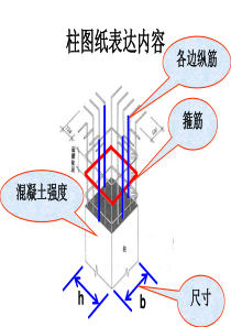 柱配筋图讲解