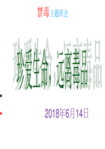 禁毒主题班会(共60张PPT)