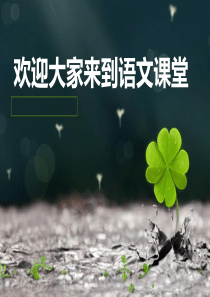 语文老师课前自我介绍