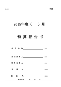 集团公司资金计划、流动、预算模板