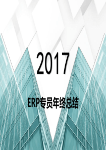 ERP专员年终总结