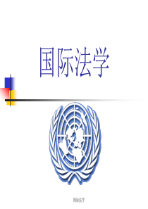 国际法课件