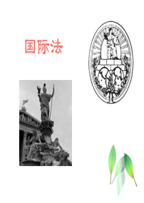 国际法ppt