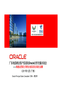 广东电信政企客户信息化Oracle合作交流讨论会