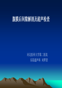 腹膜后间隙解剖及超声检查