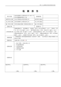 安防系统功能检测报告模板资料