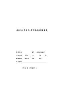 试论电力企业安全管理现状及完善策略