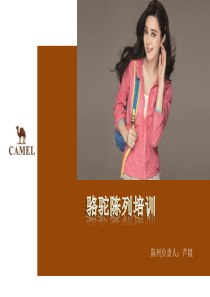 CAMEL户外陈列培训