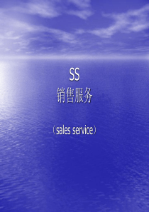 SS店铺培训版