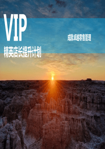 VIP店长养成计划