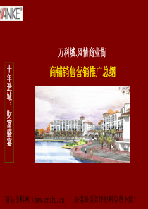 XX商业街商铺销售营销推广总纲（PPT71页）