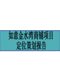 宁波如意金水湾商铺项目定位策划报告_80PPT