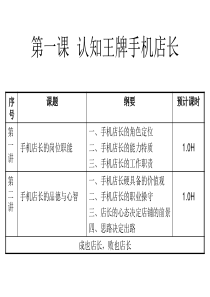 手机店王牌店长进阶之路