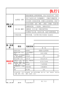 淘宝店铺运营计划合作执行计划表