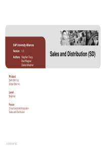 SAP_SD_模块全英文介绍