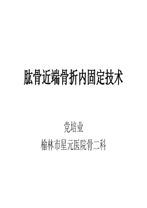 肱骨近端骨折内固定技术.详解