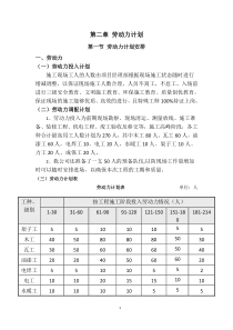 劳动力计划