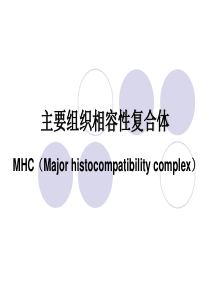 北大医学研究生课程-分子免疫学-MHC