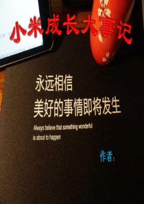 小米的发展历程PPT