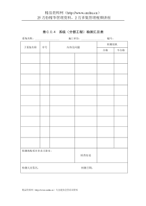 系统（分部工程）检测汇总表-弱电工程项目表格