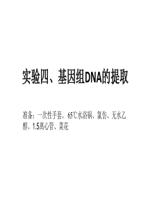 实验四、基因组DNA的提取和检测(阳成伟)