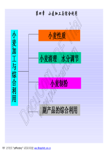 小麦加工与综合利用