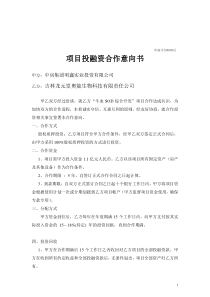 项目投融资合作意向书