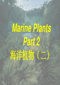 海洋植物(2)