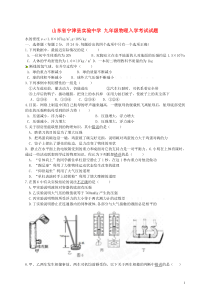 九年级物理入学考试试题