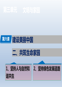 人教版道德与法治九年级上册-6.2-共筑生命家园课件(共26张PPT)