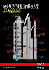 甲骨文《Oracle石化行业解决方案企业信息化的今天与未来》