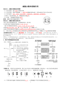 减数分裂和受精作用一轮复习教学案(教师版)