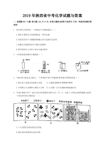 2019年陕西省中考化学试题与答案