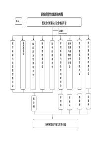 医疗质量管理与安全管理组织架构图