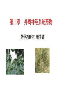 外周神经系统药物