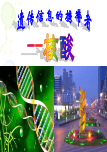 遗传信息的携带者——核酸