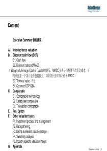 RB内部估值模型教程(PPT-307页)