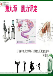 第九章-肌力的评定