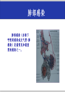 肺部感染