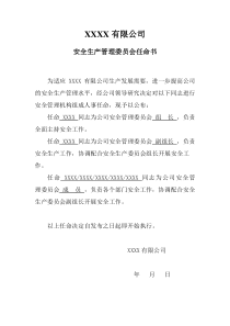 安全管理委员会任命书